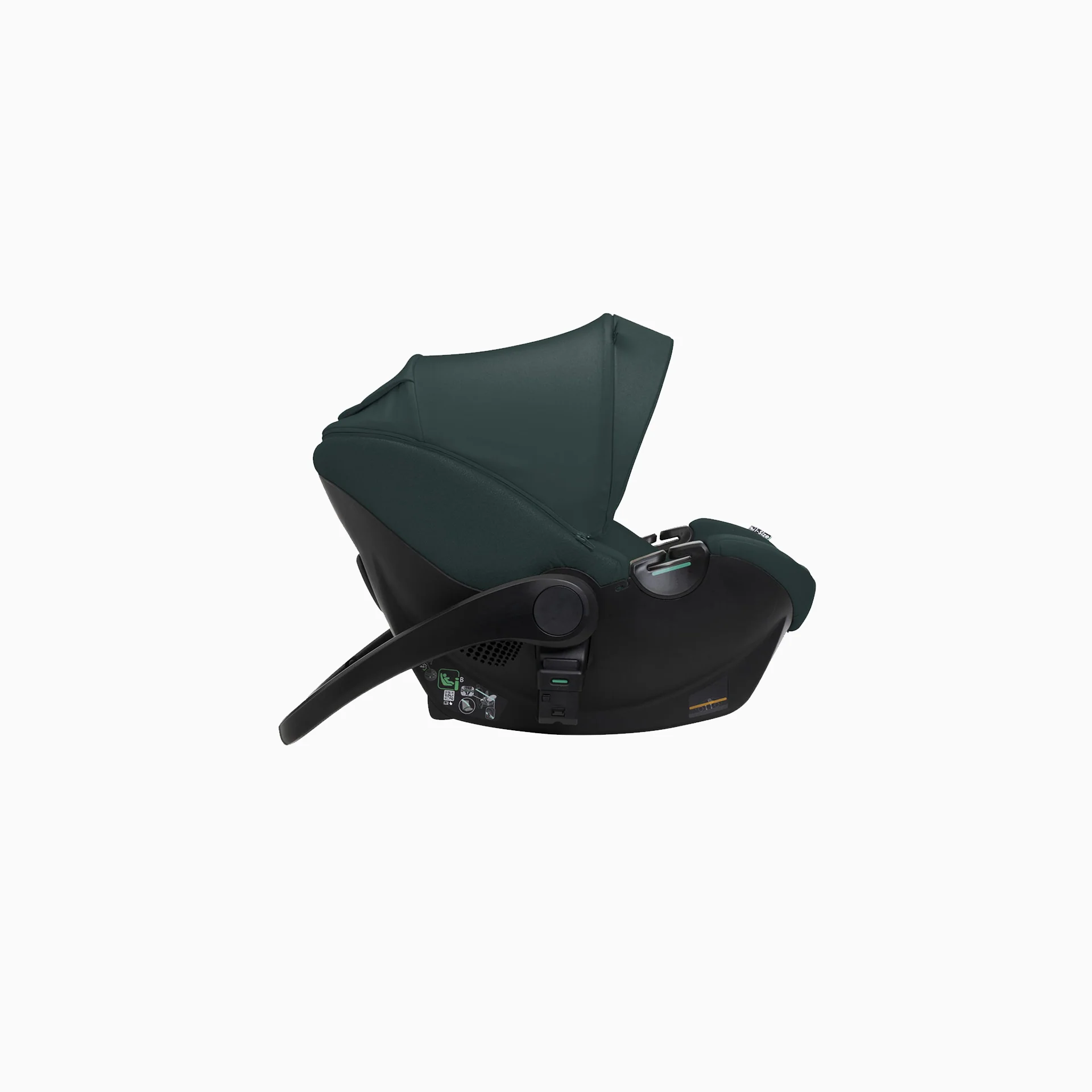 Chicco Kory Plus i Size Fir Tree